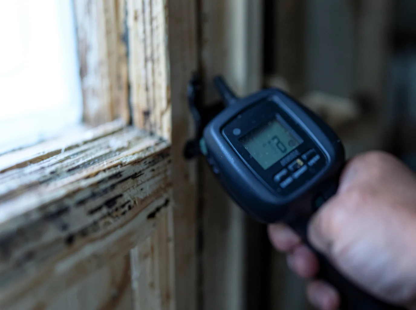 Moisture Inspection And Documentation in Dexter, NM
